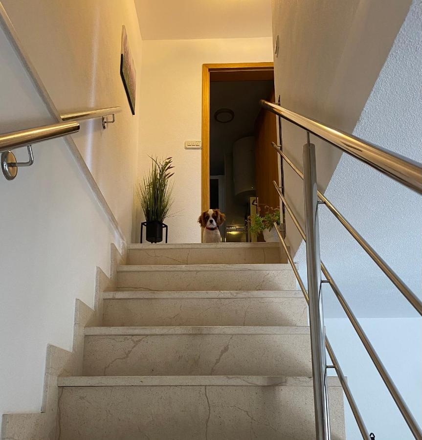 Mediterano Apartment - City Center Split Exterior photo